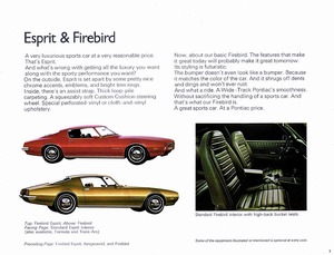 1972 Pontiac Firebird (Cdn)-07.jpg